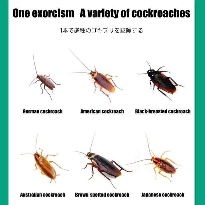 Pembasmi Kecoa Dirumah Suntik Gel Racun Kecoa Ampuh -Gel Racun Pembasmi Kecoa Roach Bait Insecticide