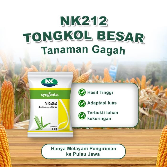 ID BENIH JAGUNG NK 212 - 5KG - FREE TOPI BENIH NK 212