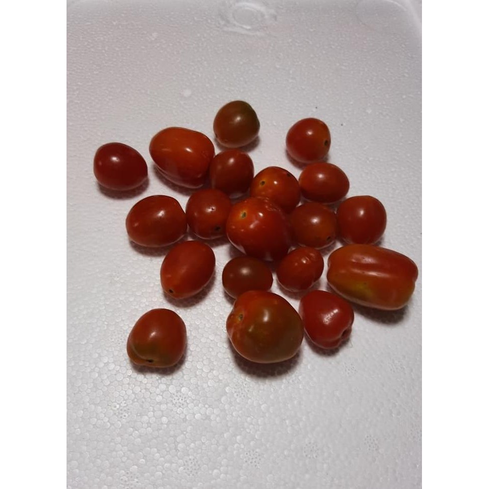Segar&amanah- Tomat Cherry 1Kg