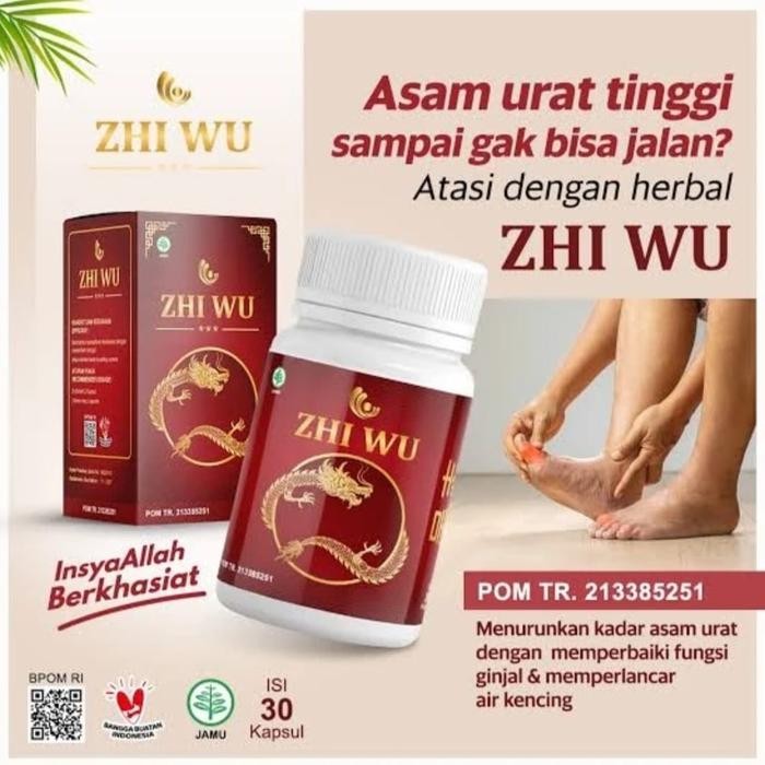 ZHI WU Obat Asam Urat Rematik Dan Nyeri Sendi Zhi WU Asli Obat Herbal Atasi Syaraf Kejepit Zhi Wu