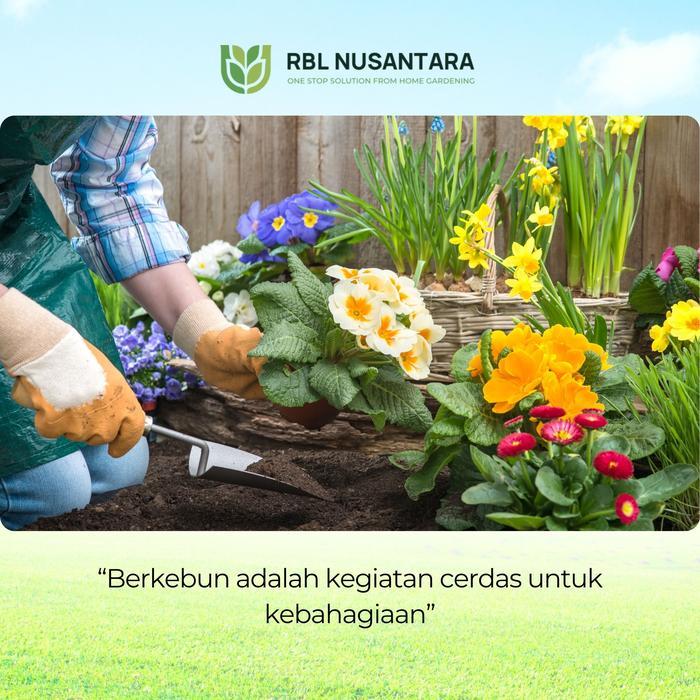 PROMO RBLN - Paket 10 Macam Benih Bunga Hias Termasuk Aster Rosella Ungu Telang Lavender Marigold