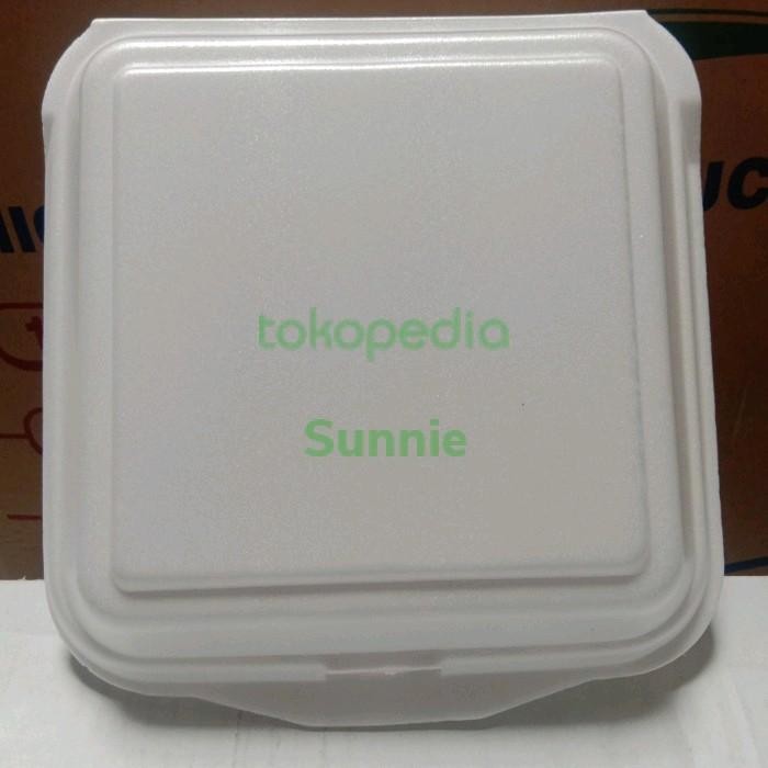 

styrofoam box nasi kotak /styrofoam nasi gabus 100pc
