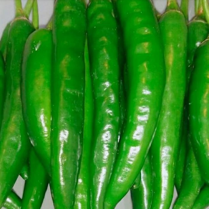 

Pilihan- Cabe Hijau Besar 500Gram Segar