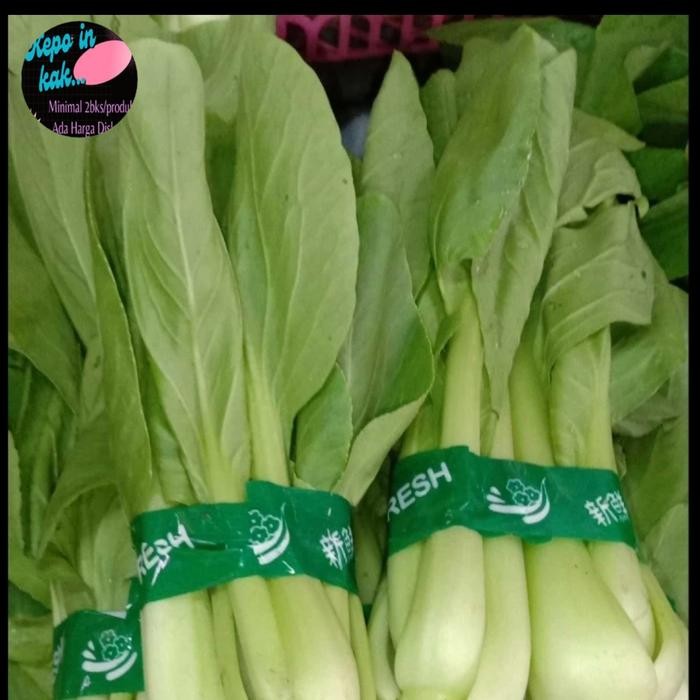 

Pilihan- Baby Pakcoy Bebi Pakchoy Pokcoy Sawi Sendok Mini Sayuran Segar Fresh 1 Kg