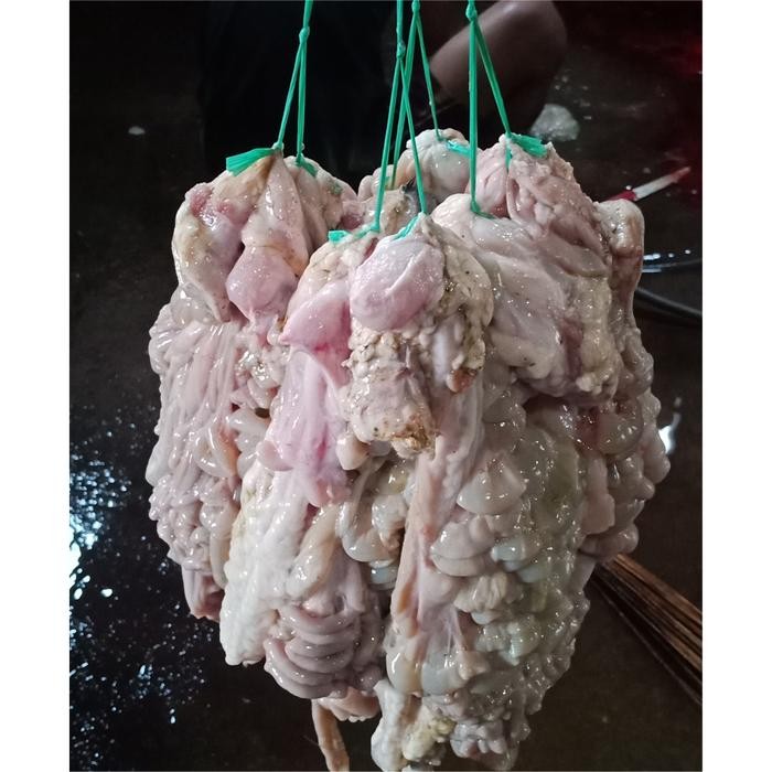 

Pilihan- Jeroan Kambing Muda Campur Bersih 500 Gr Jeroan Domba