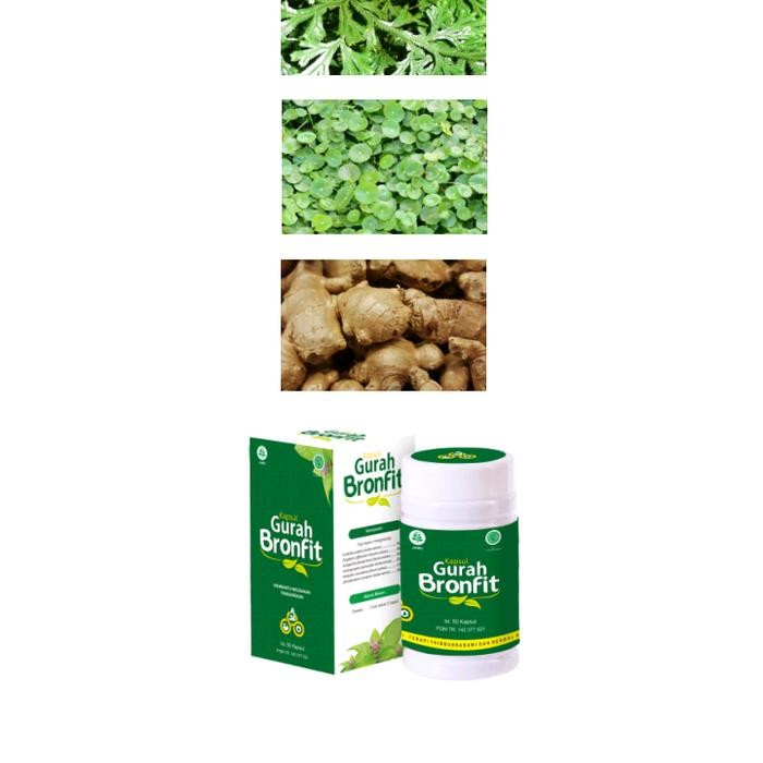 Kapsul Gurah Naturafit 50 Kapsul Obat Herbal Pernafasan Flu Batuk Terlaris
