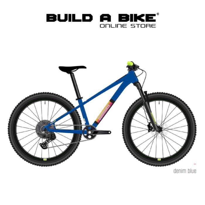Sepeda Anak Kids DOMINATE A-One 24" - Blue