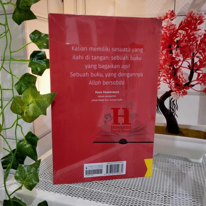 Bibel - Kitab Suci Orang Muda Katolik
