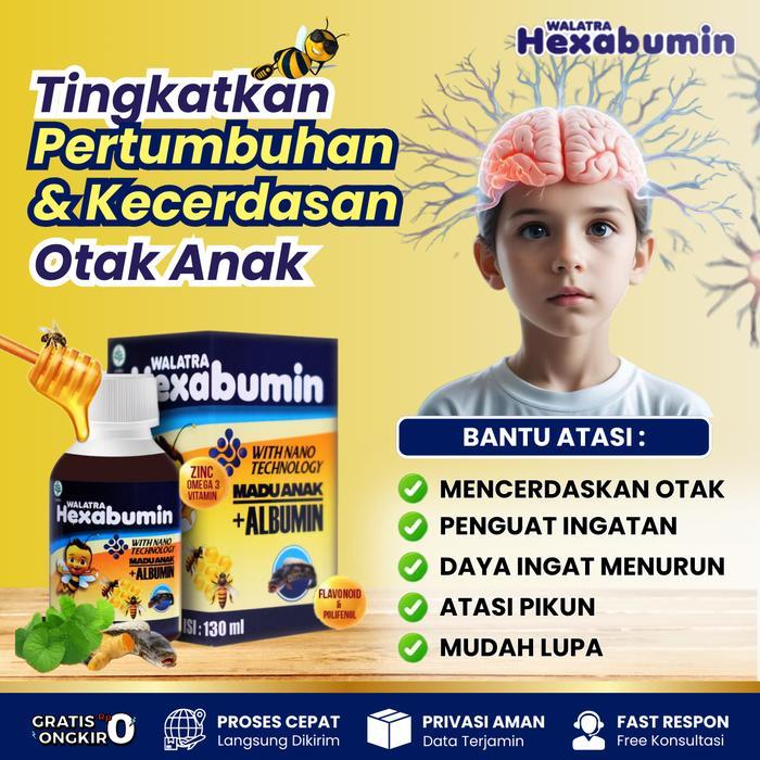 Vitamin Nutrisi Otak Vitamin DHA Anak Dan Dewasa Penguat Ingatan Alzheimer Penambah Daya Ingat