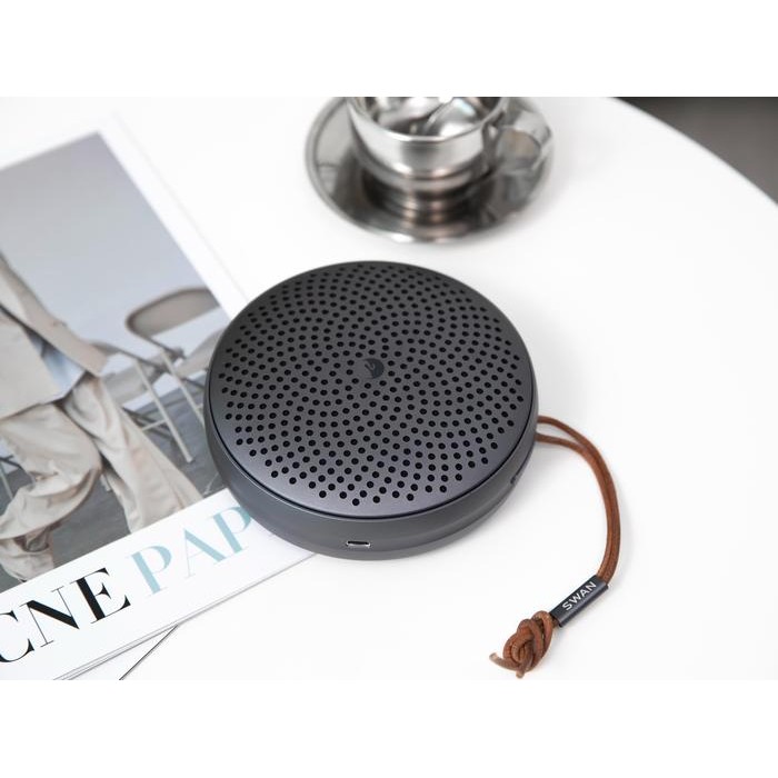 HiVi Swan E1 Portable Speaker Support TWS Bluetooth 5.3