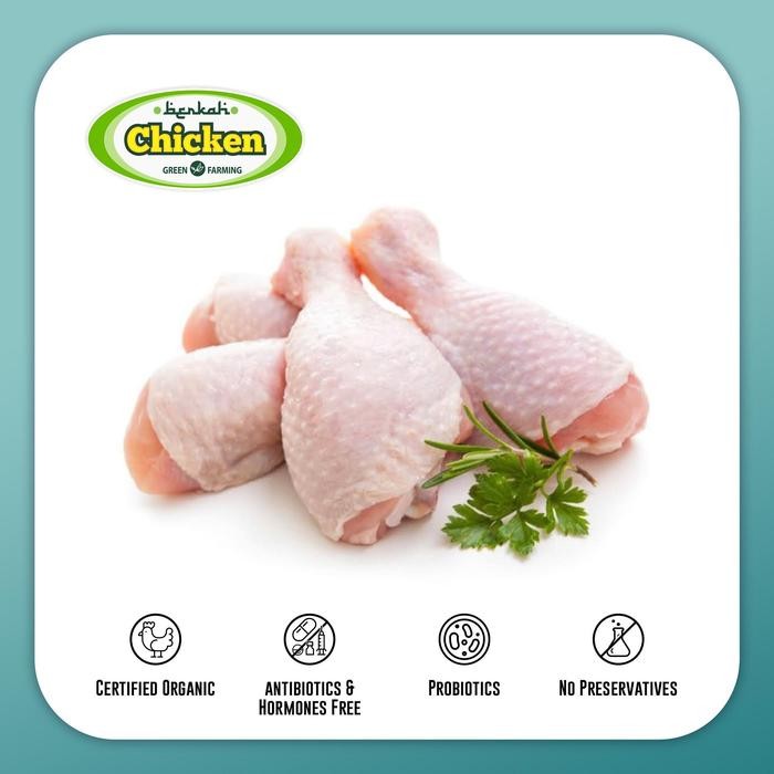 

Pilihan- Ayam Broiler Paha Bawah Organik Berkah Chicken