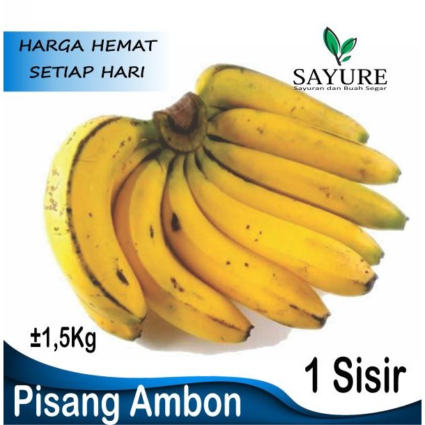 

Pilihan- Pisang Ambon Berkualitas 1 Sisir