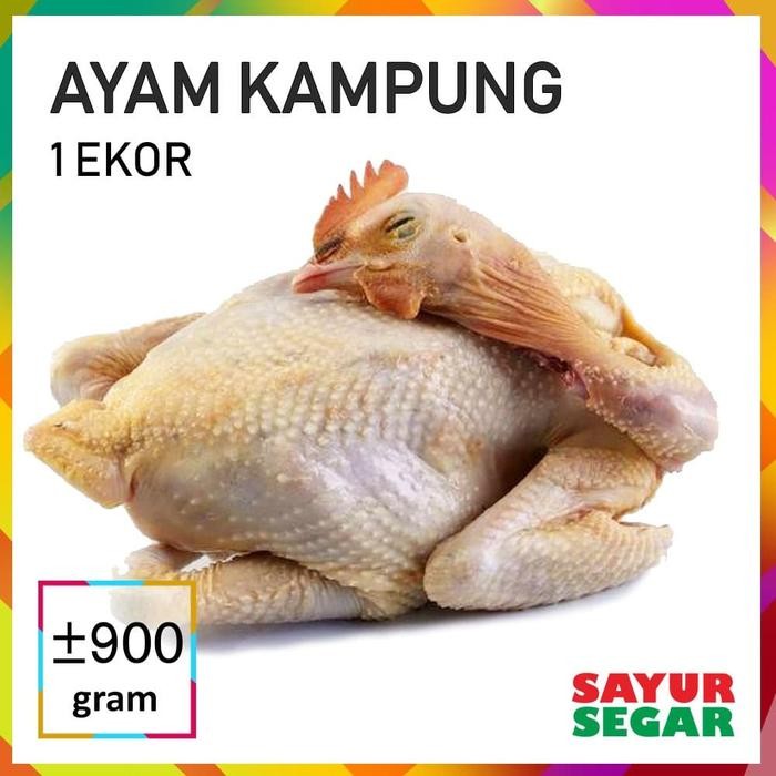 

Pilihan- Daging Ayam Kampung [1 Ekor, 900G]