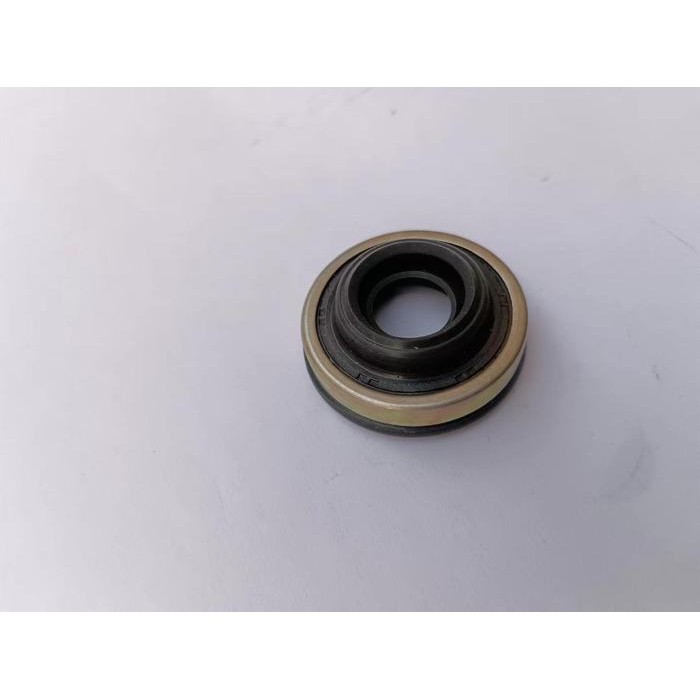 Shaft Seal 10P30B Stainless