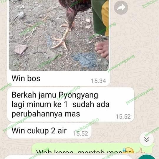 JAMU AYAM ADUAN TERBAIK JAMU PYONGYANG PAKET 2 BOTOL (BIASA + VVIP)
