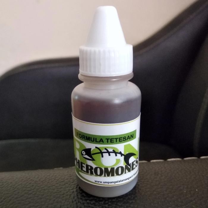 Ready PHEROMONES (RCN) SINGEK