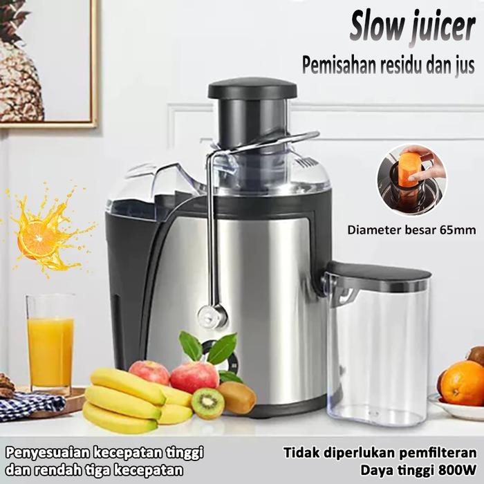 Juicer Extractor 800W-Slow Juicer 99% Fresh Fruit Juice Juicer Extractor Fruit Juicer Stainless