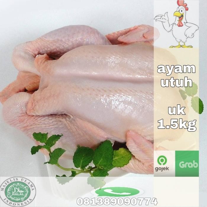 

Pilihan- Ayam Potong Ekoran Uk 1.5Kg