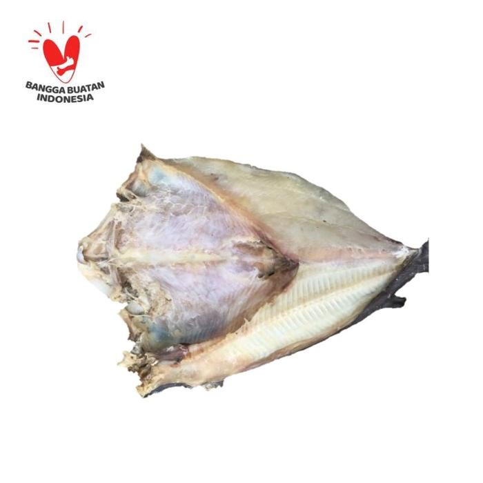 

Pilihan- Jambal Roti Super Pangandaran Ikan Asin Organik Dingin