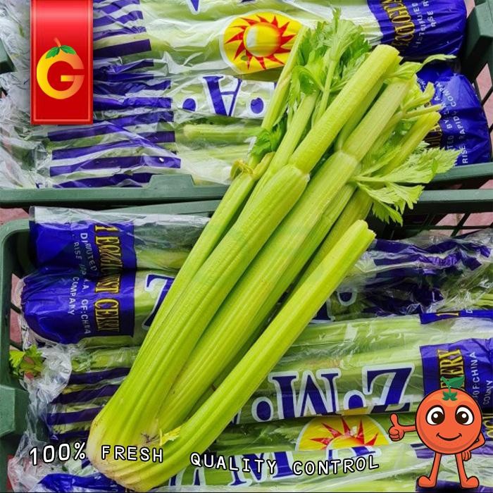 

Pilihan- Seledri / Celery Import Fresh - Pcs