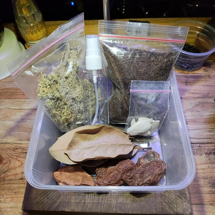 STARTER PACK ISOPOD PAKET KANDANG ISOPOD