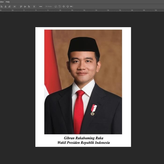

Kertas foto presiden 25x35 cm