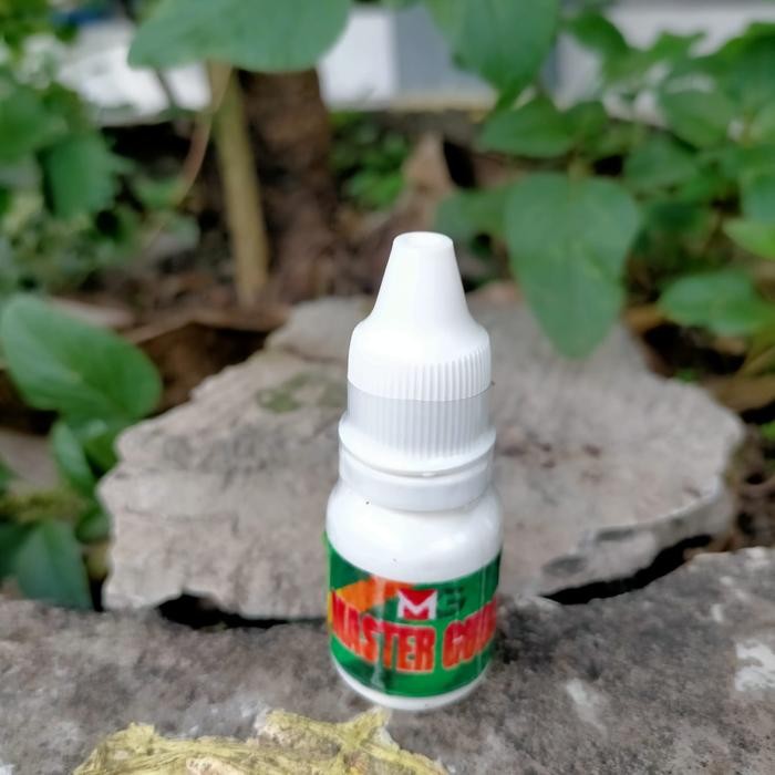 Chocolatoslatoe Master Gurah Burung Vitamin Gurah Untuk Burung Murai Cucak Ijo Kacer Kenari Dan