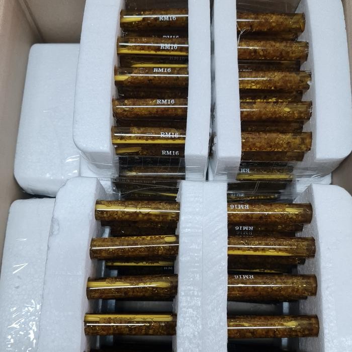 CHEMICAL ANCHOR ANGKUR RM16 RM 16 M16 KAPSUL CAPSULE LEM ANGKUR MAXIMA