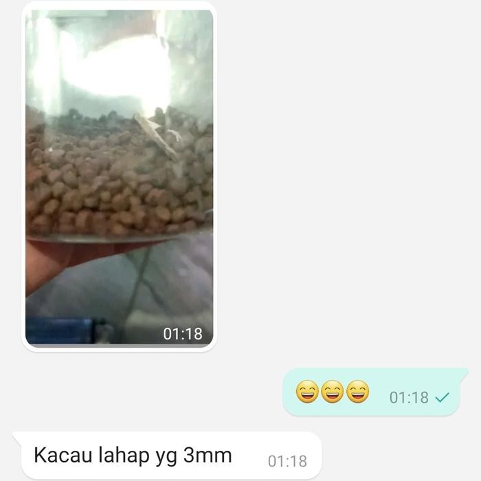 PAKAN/PELET GOLDFISH & TAMASABA - GENJIRO COLOR 750 GR