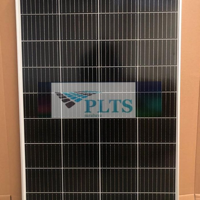 Panel Surya 100wp Poly MS