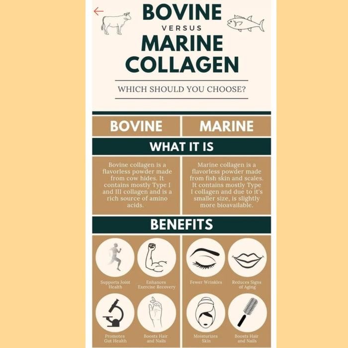 smql- Bubuk Collagen Ikan/ Kolagen Ikan / Fish Collagen Powder (1Kg)