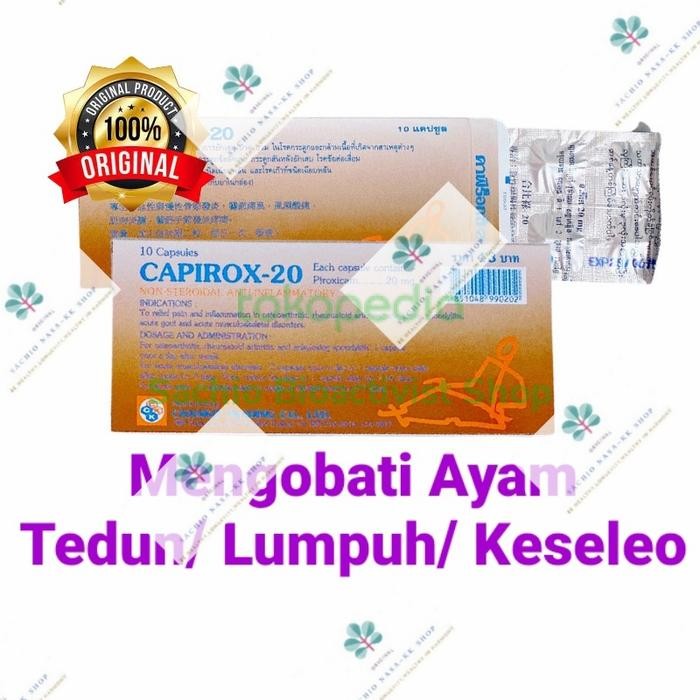 PetShoPq- Capirox 20 Isi10Kapsul Import Thailand Obat Ayam Tedun Lumpuh Keseleo