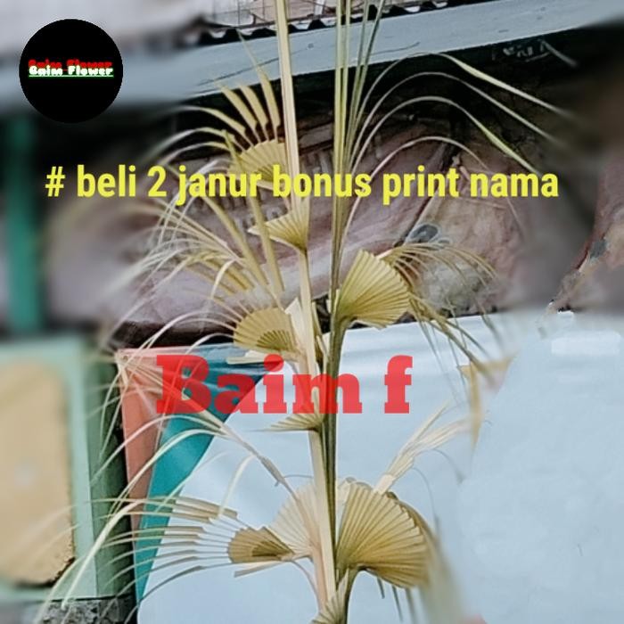 b0nc- Janur Tanda/Janur Khitanan/Janur Pernikahan