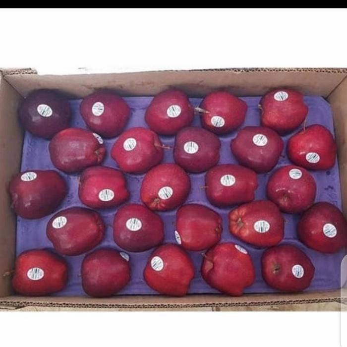 BUAH APEL MERAH SEGAR / RED DEL USA FRESH MANIS PER 1 DUS BERAT 19 KG