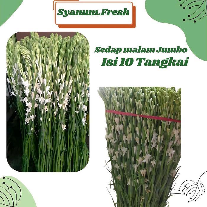 Bunga Sedap Malam Jumbo isi 10 Tangkai Fresh Vas semi latex yellow white heart artificial rumput