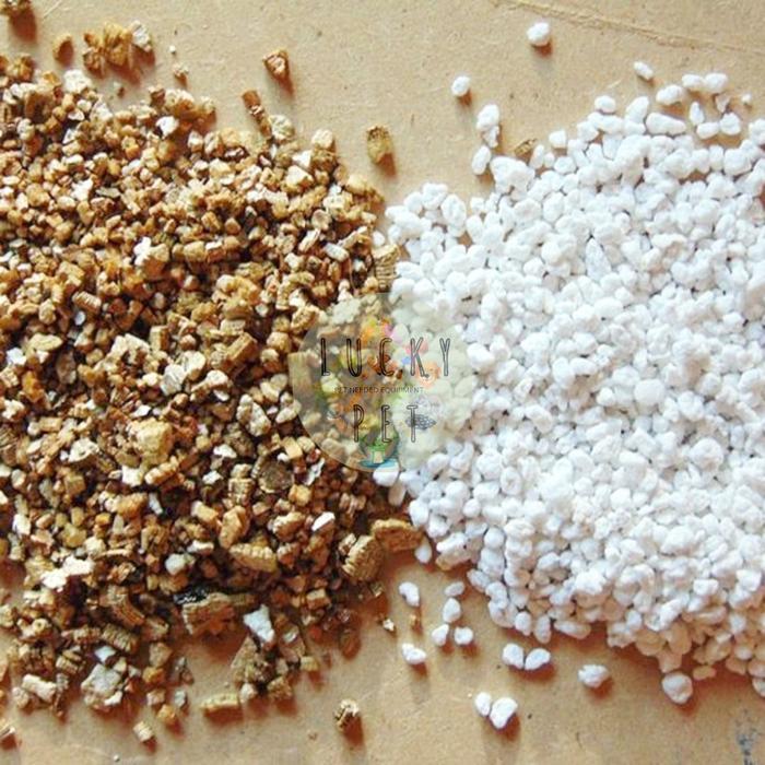 NEW PERLITE media tanam tanaman alas media penetasan telur reptil gecko