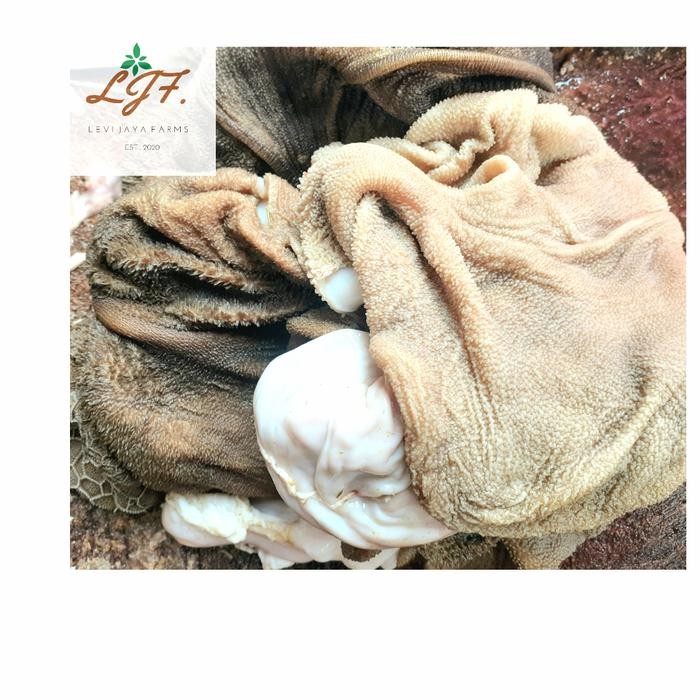 Pilihan- Jeroan Kambing, Babat Kambing Frozen