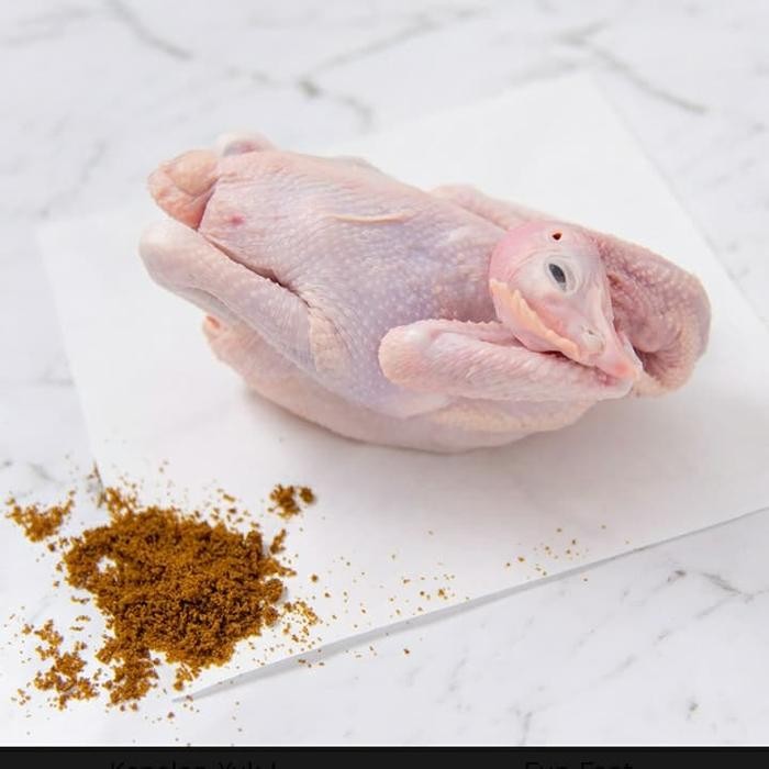 

Pilihan- Ayam Pejantan Fresh 1 Ekor Promo