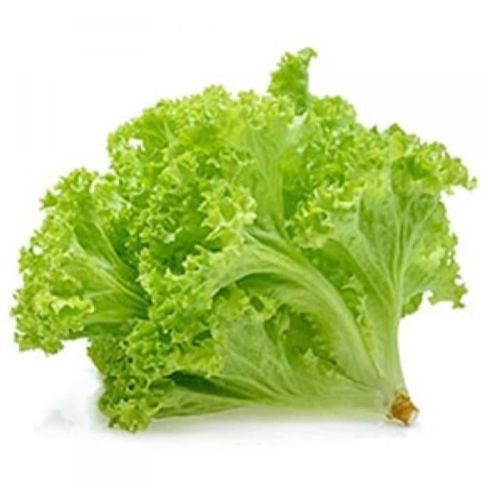 

Pilihan- Selada Hijau Daun Selada 500G