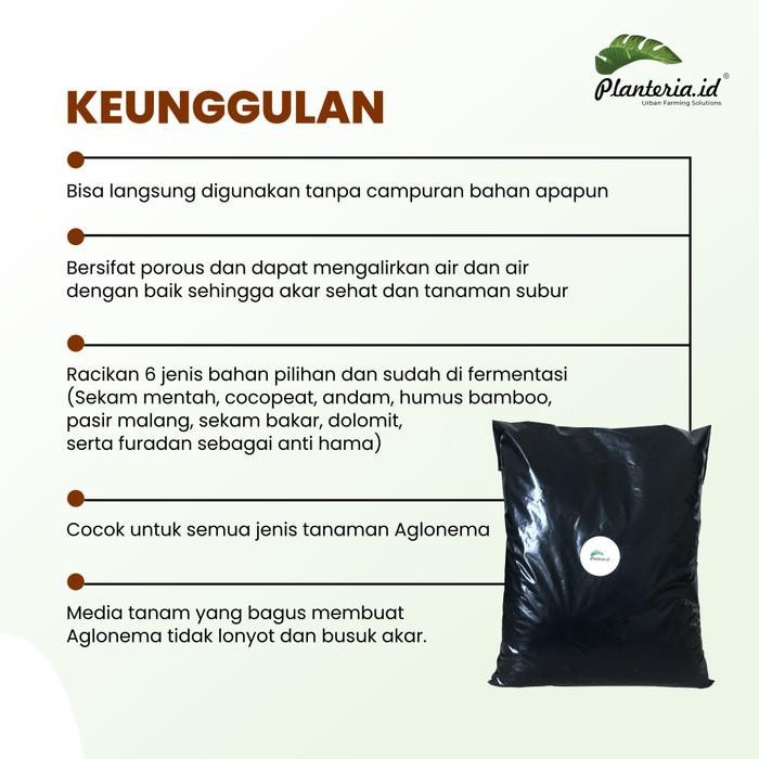 Media Tanam Aglonema Premium Organik Siap Pakai