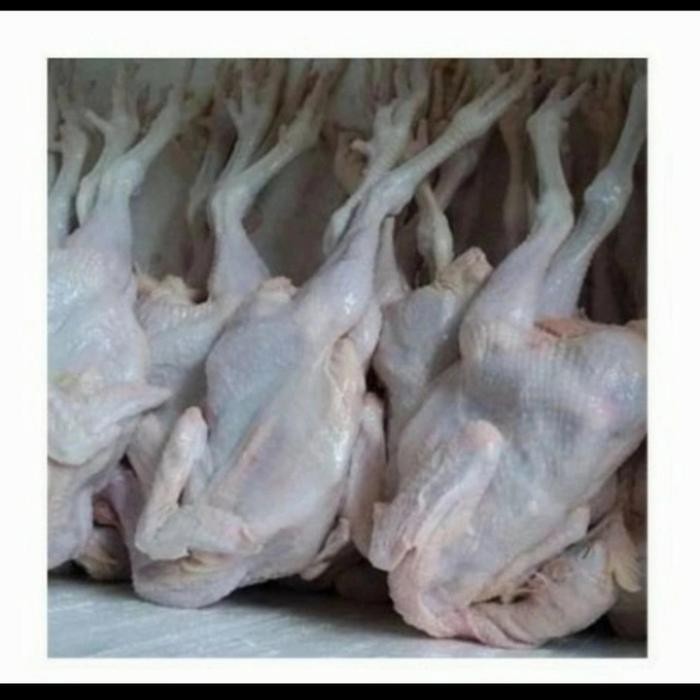 

Pilihan- Ayam Pejantan Utuh 800-900 Gr