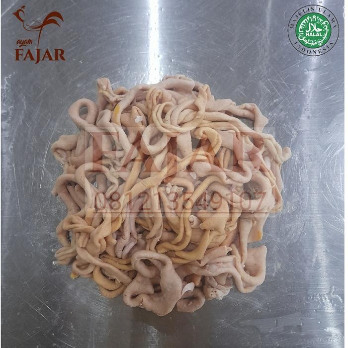 

Pilihan- Usus Ayam Segar