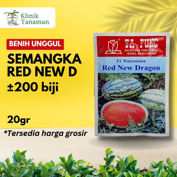 Stok Baru Benih Semangka Red New Dragon F1 20gr Bibit Semangka Ta Fung Benih Semangka Tafung