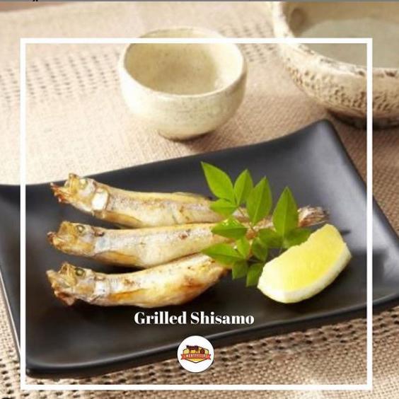 Shisamo Fish Shisamo Ikan Capelin Premium Japanese Fish Terbaruu
