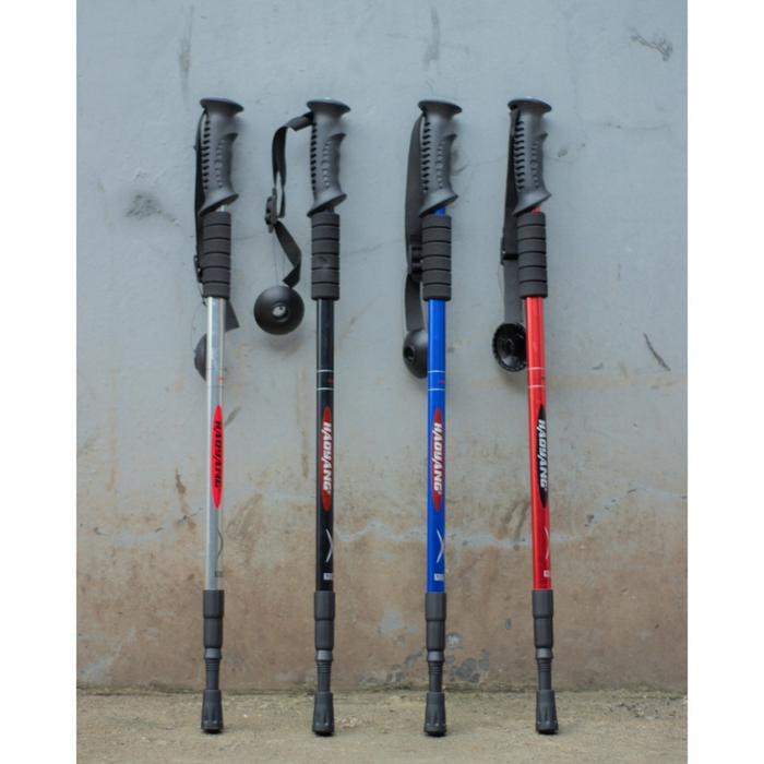 Eiger Oficial - Trekking Pole / Tongkat Hiking / Tongkat Mendaki
