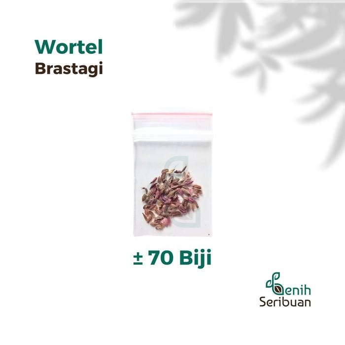 KOMPLIT 70 Benih Wortel Brastagi Medan Bibit Tanaman Sayuran Buah Panjang