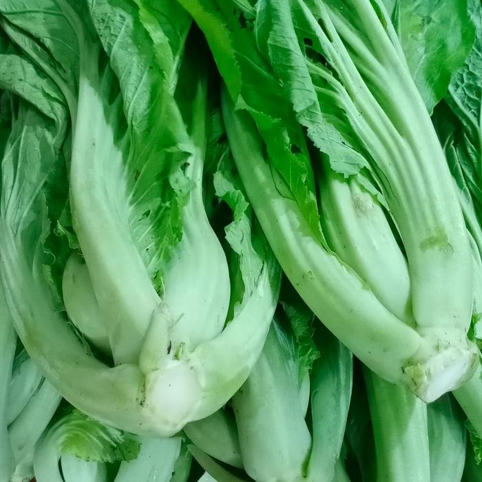 

Pilihan- Sawi Pahit Segar / Sayur Pait Segar