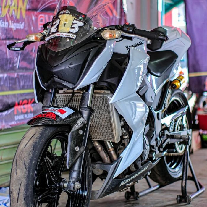 Radiator Racing Bpro Ninja 250 Fi. Radiator Bpro Ninja 250 Radiator