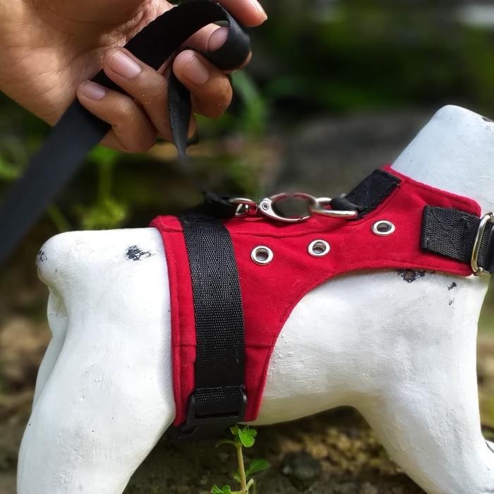 Harness Anjing Mini Pom Dan Kucing Warna Merah Promo 