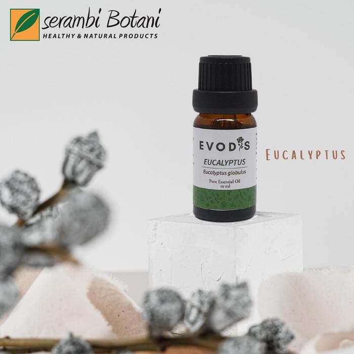 Essential Oil & Aromatheraphy Evodis Eucalyptus